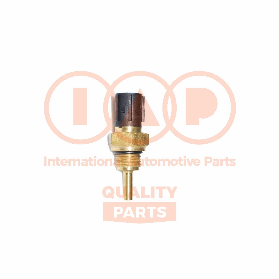 IAP QUALITY PARTS 842-06010