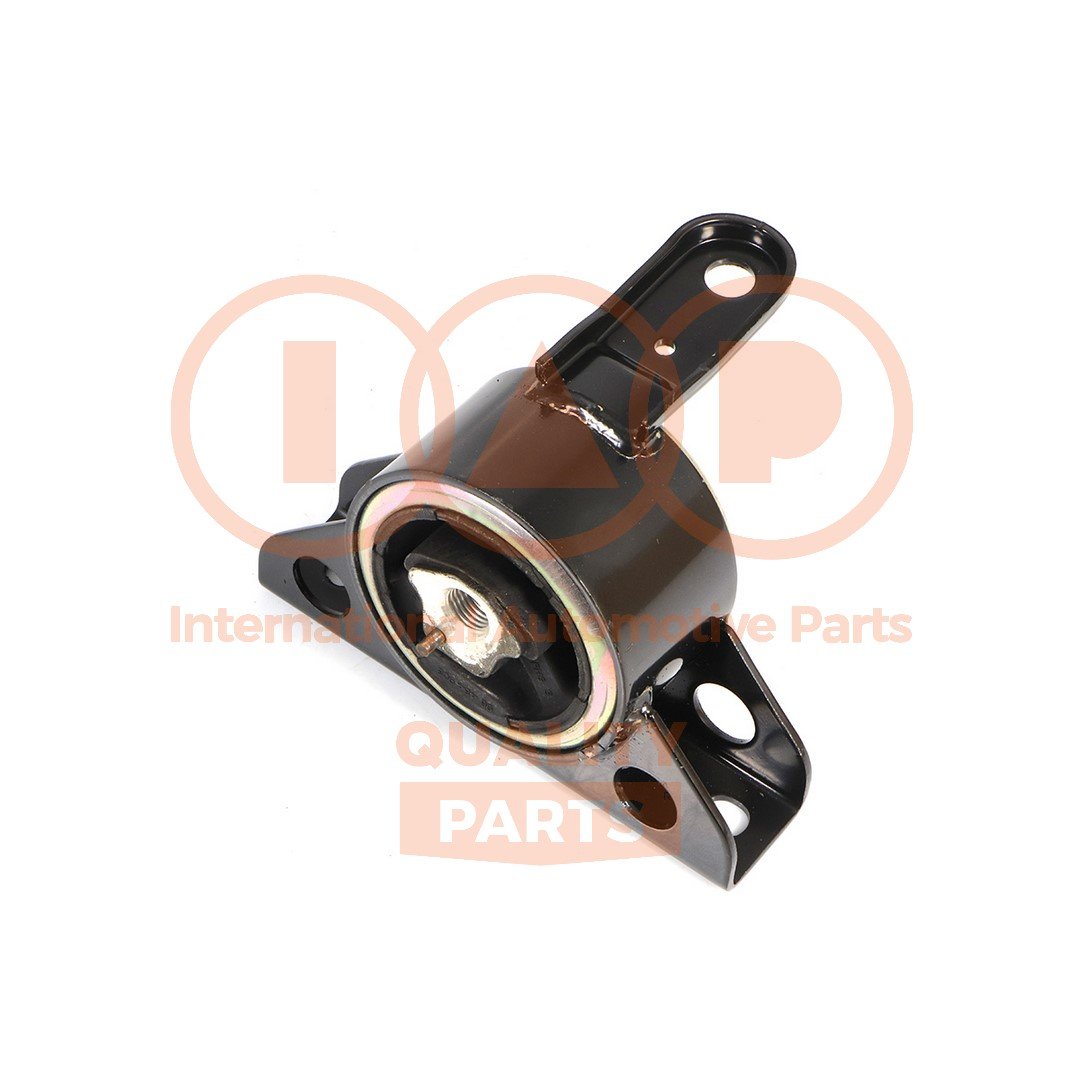 IAP QUALITY PARTS 138-20066