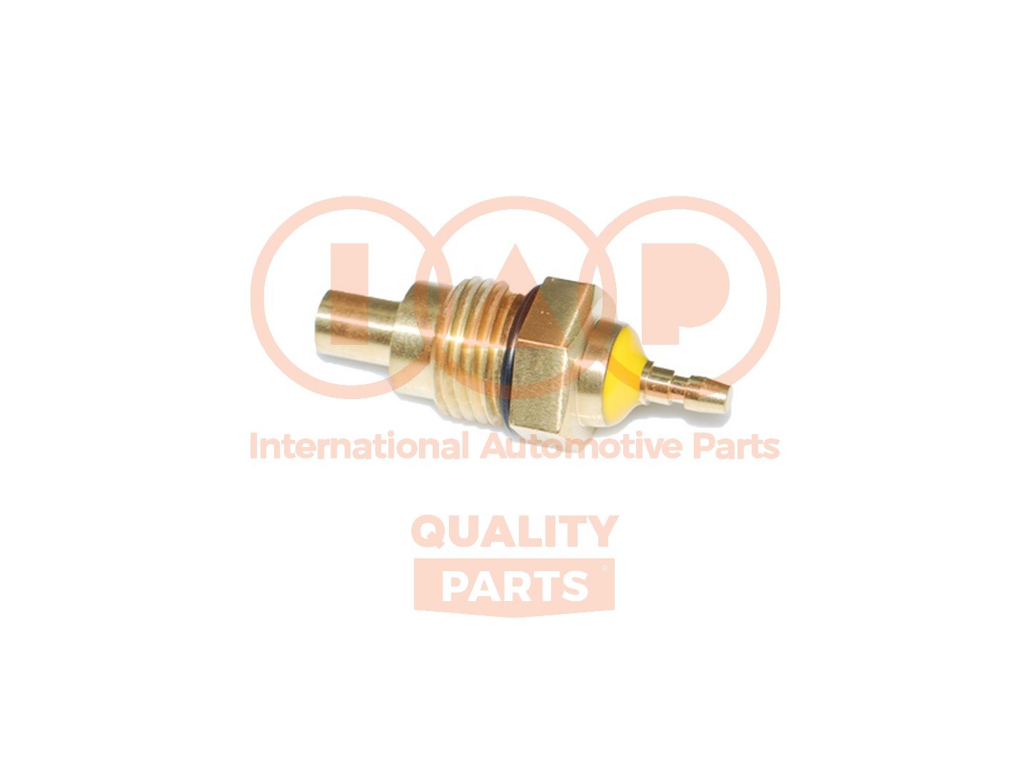 IAP QUALITY PARTS 841-03040P