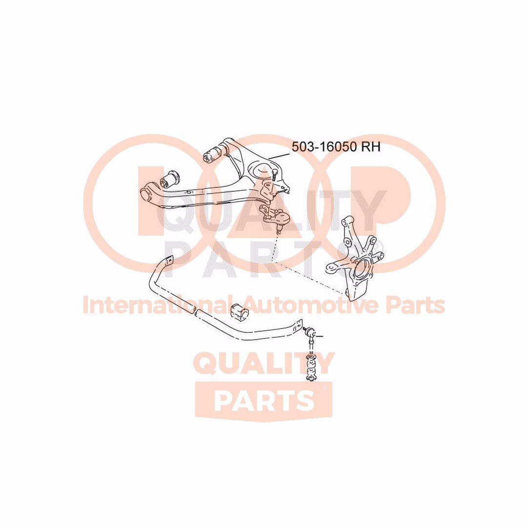 IAP QUALITY PARTS 503-16050