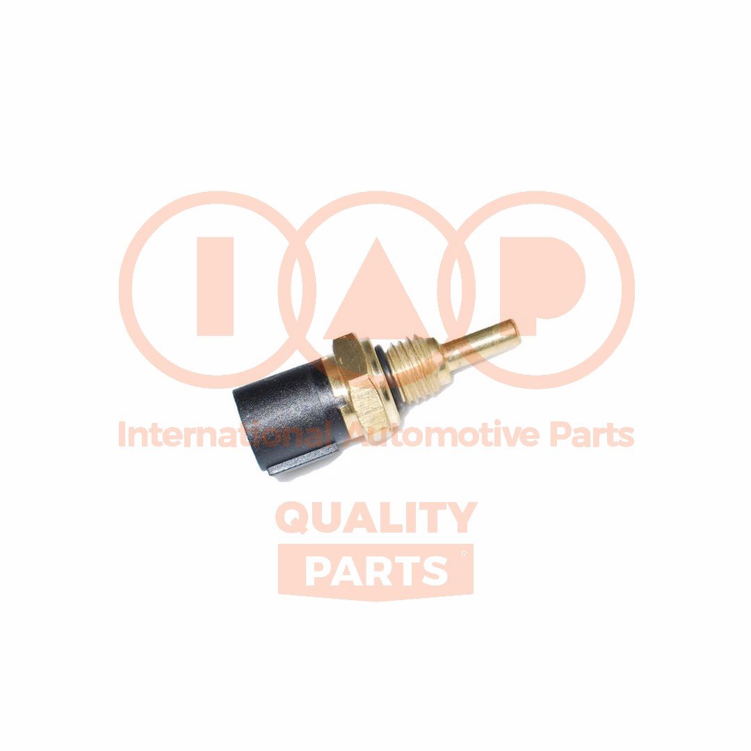 IAP QUALITY PARTS 842-06015