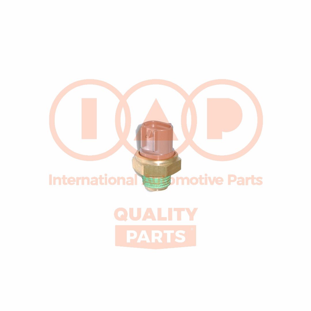 IAP QUALITY PARTS 843-16060