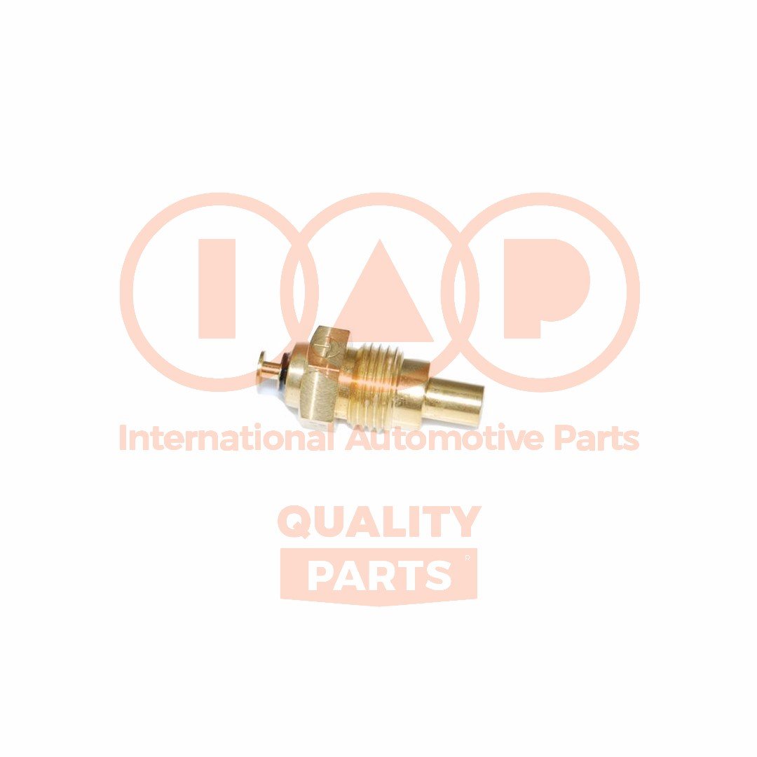 IAP QUALITY PARTS 841-09010