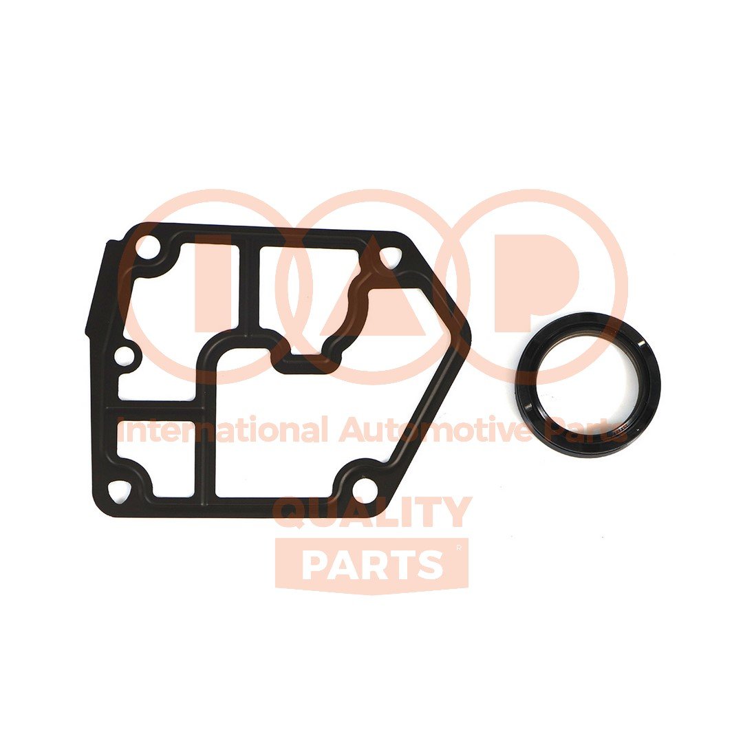IAP QUALITY PARTS 117-50070