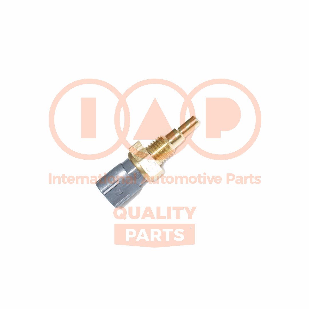 IAP QUALITY PARTS 842-11070