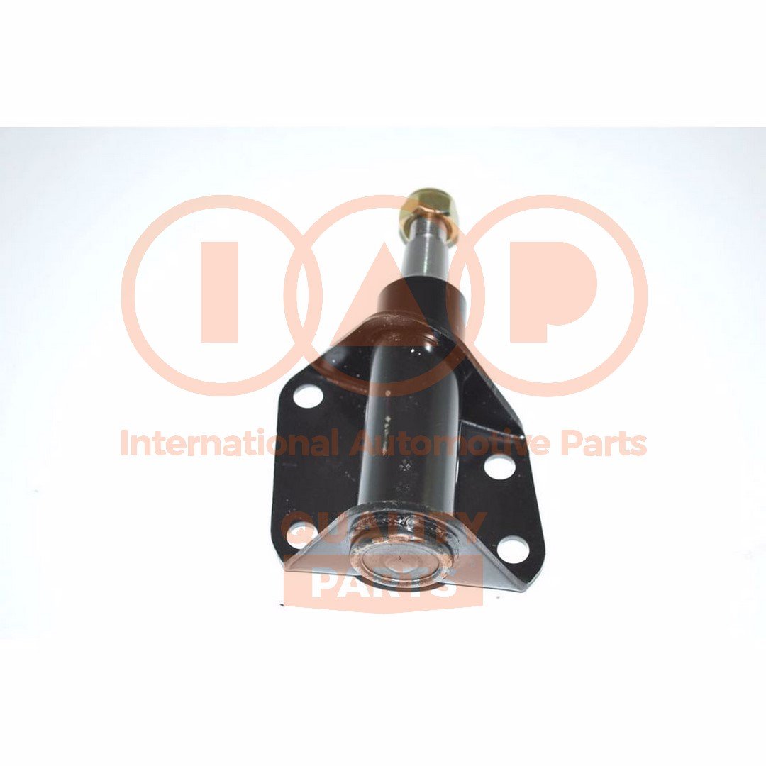 IAP QUALITY PARTS 607-09070