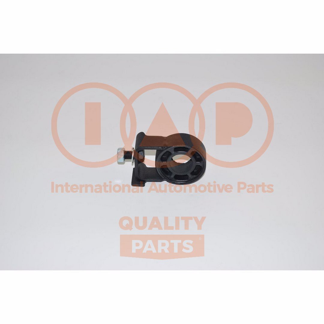 IAP QUALITY PARTS 138-12011T