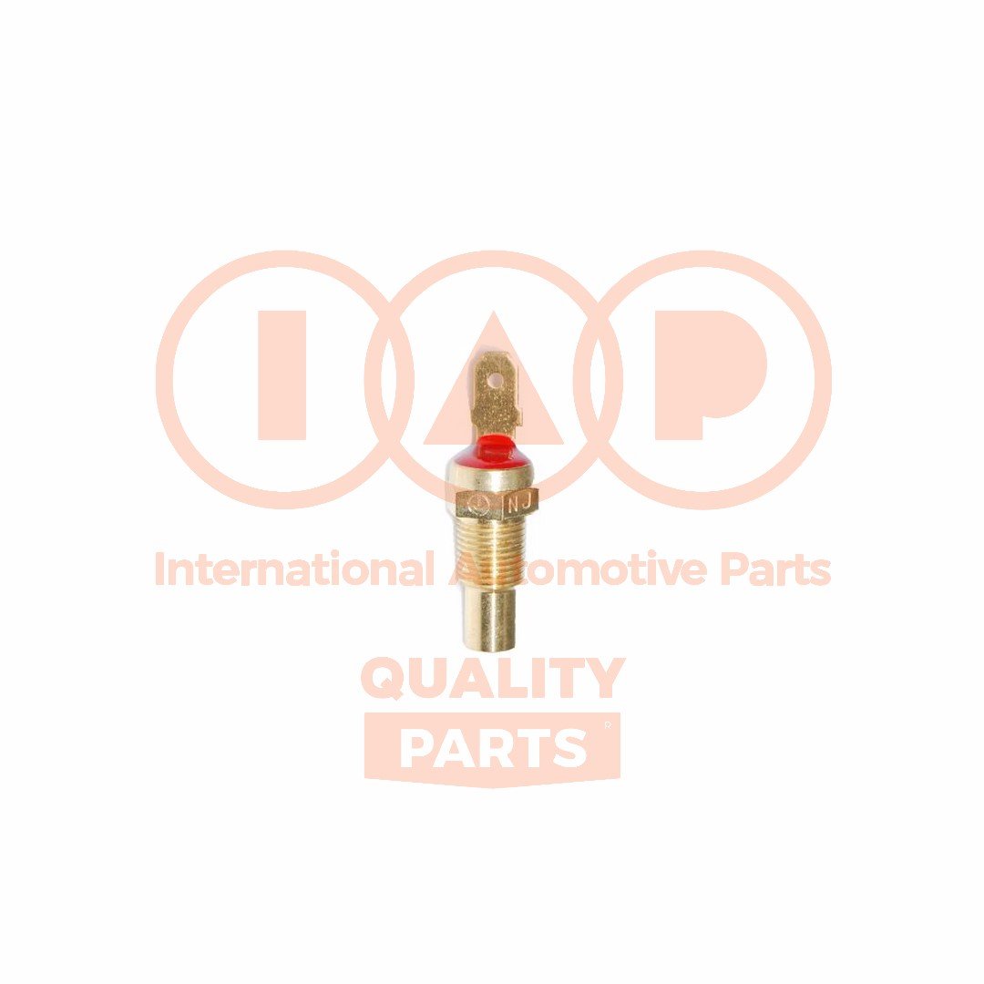 IAP QUALITY PARTS 841-16051