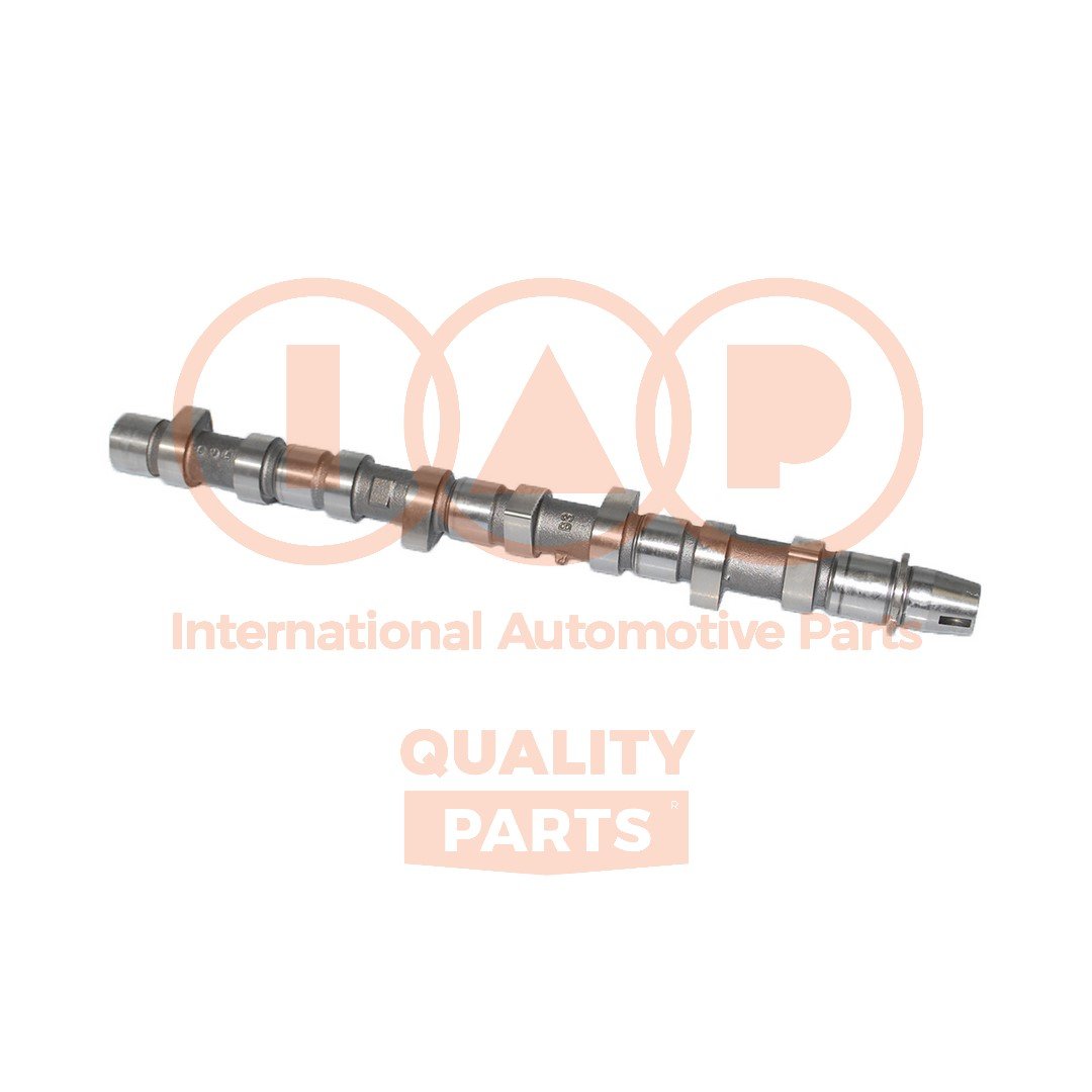 IAP QUALITY PARTS 124-21021G