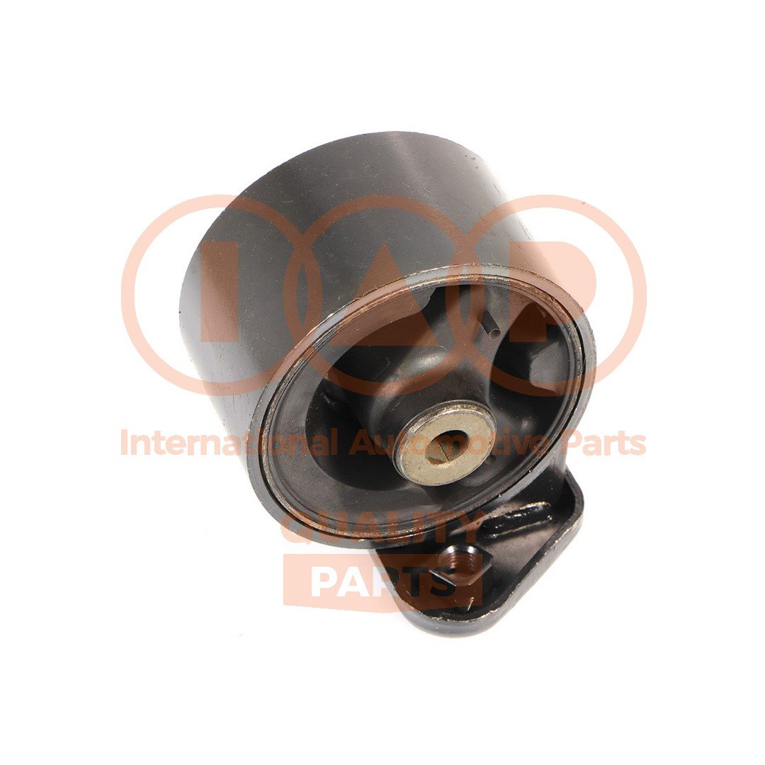 IAP QUALITY PARTS 138-07055