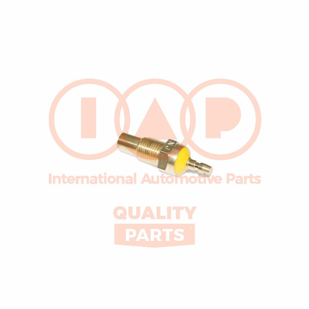 IAP QUALITY PARTS 841-06070