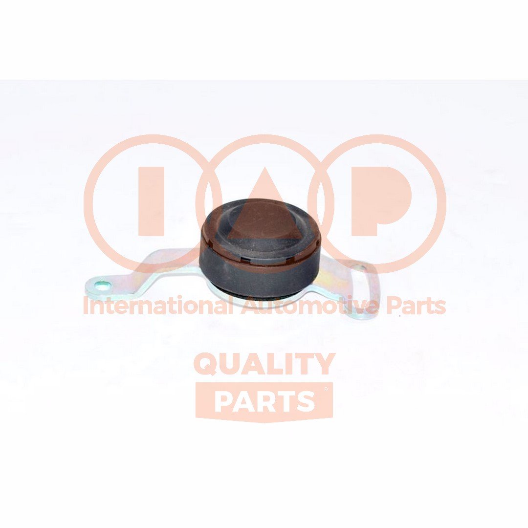 IAP QUALITY PARTS 127-00101