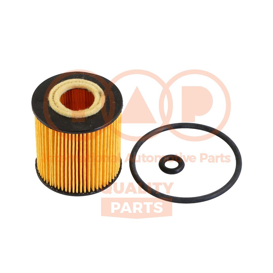 IAP QUALITY PARTS 123-00100