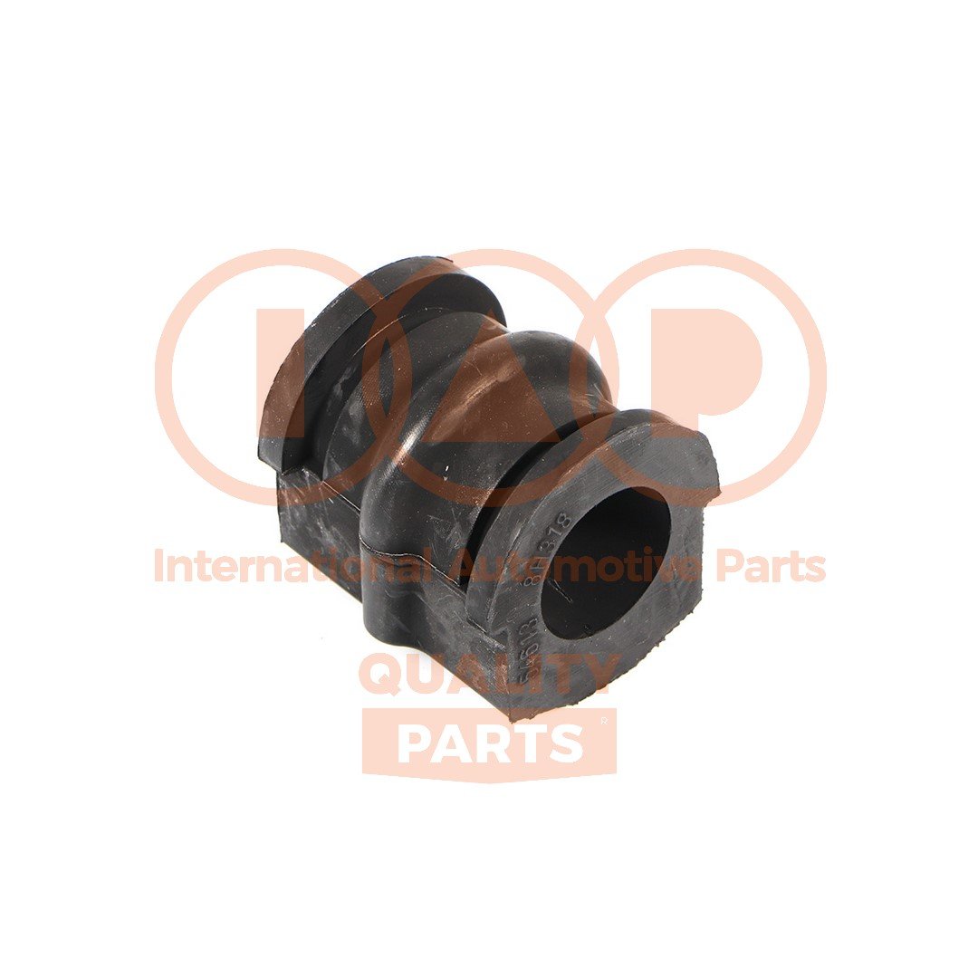 IAP QUALITY PARTS 507-13100