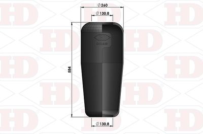 HD 010.838