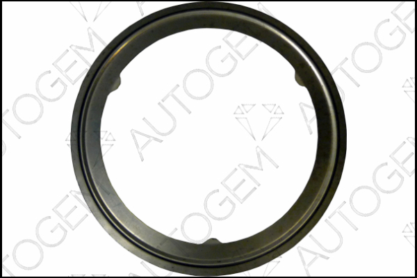 AUTOGEM CEG4443 AUTOGEM CEG4443