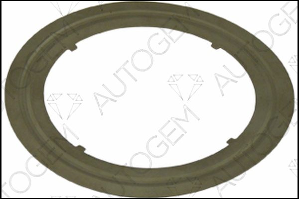 AUTOGEM CEG9573 AUTOGEM CEG9573