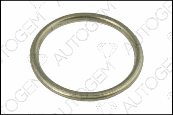 AUTOGEM CEG5401 AUTOGEM CEG5401