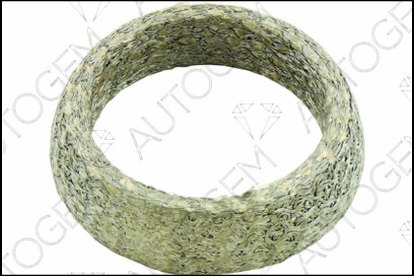 AUTOGEM CEG485 AUTOGEM CEG485