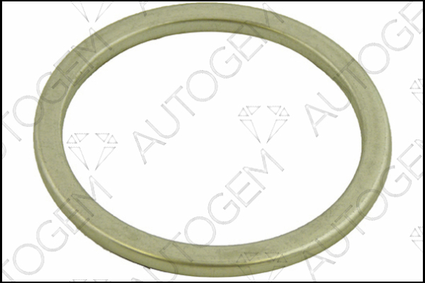 AUTOGEM CEG4449 AUTOGEM CEG4449
