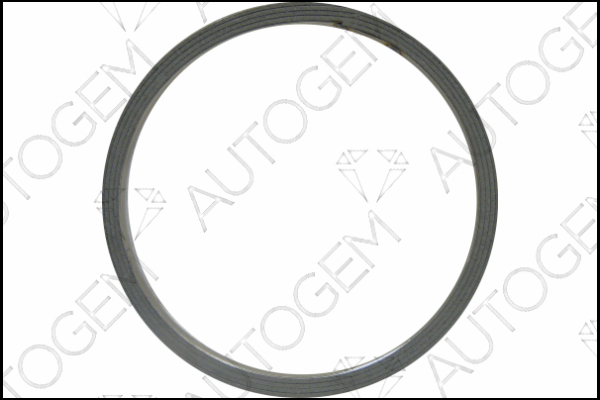 AUTOGEM CEG8813 AUTOGEM CEG8813