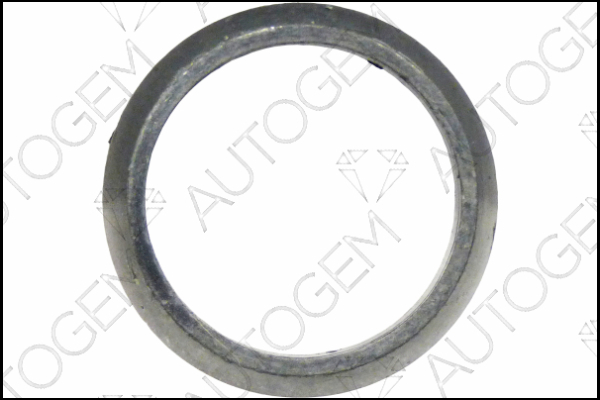 AUTOGEM CEG5918 AUTOGEM CEG5918