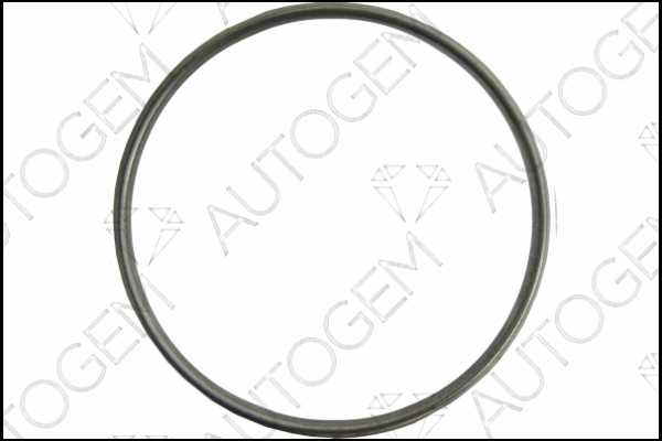 AUTOGEM CEG7560