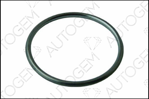 AUTOGEM CEG5407 AUTOGEM CEG5407