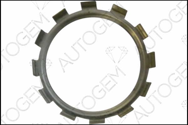 AUTOGEM CEG9565 AUTOGEM CEG9565