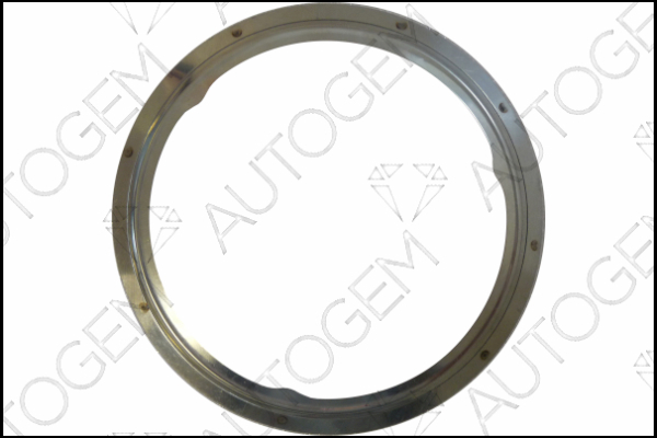 AUTOGEM CEG4459 AUTOGEM CEG4459