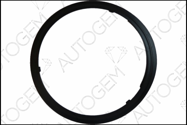 AUTOGEM CEG9572 AUTOGEM CEG9572