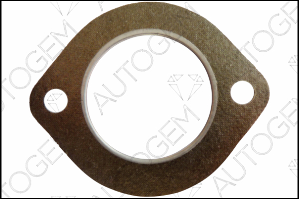 AUTOGEM CEG6824