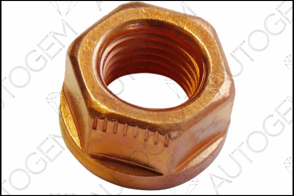 AUTOGEM FN01CU AUTOGEM FN01CU