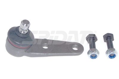 SPIDAN CHASSIS PARTS 46105