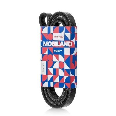 MOBILAND 6PK2153