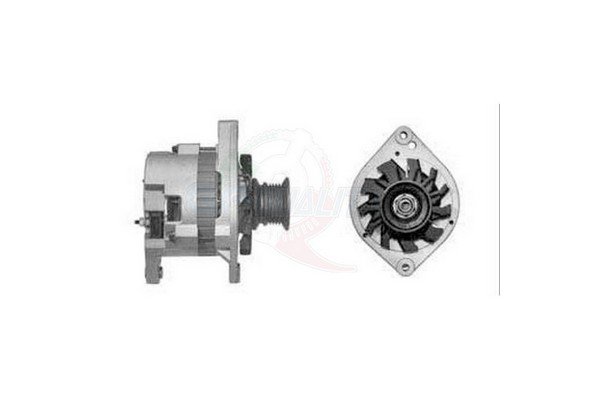 GFQ - GF Quality ALGE00494 GFQ - GF Quality ALGE00494