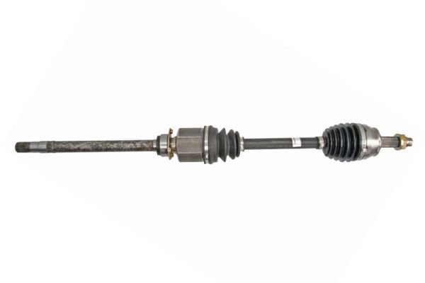 POINT GEAR PNG73054 POINT GEAR PNG73054