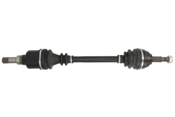 POINT GEAR PNG73031 POINT GEAR PNG73031