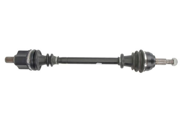 POINT GEAR PNG72801 POINT GEAR PNG72801