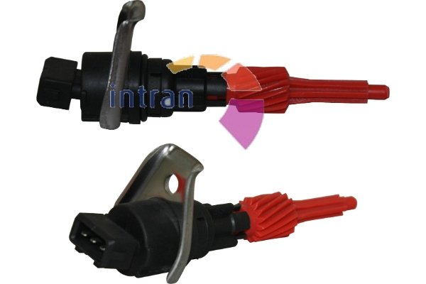 Intran Flotamex SD31981