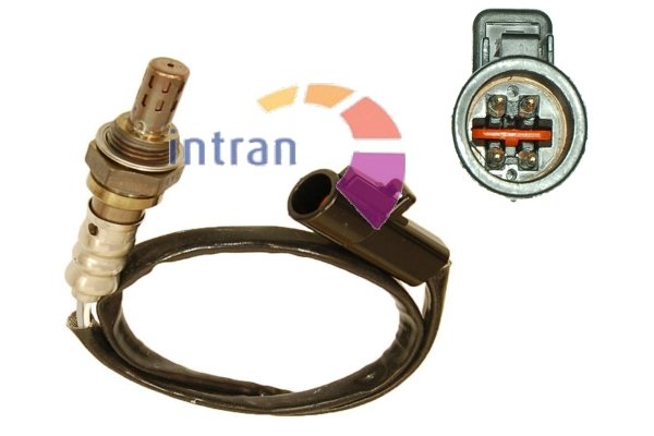 Intran Flotamex SD11224 Intran Flotamex SD11224