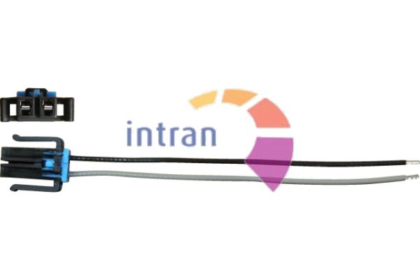 Intran Flotamex C04