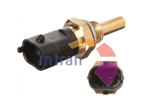 Intran Flotamex SD12303