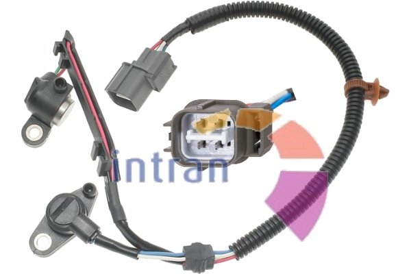 Intran Flotamex SD22318