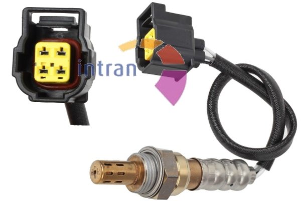 Intran Flotamex SD11865 Intran Flotamex SD11865