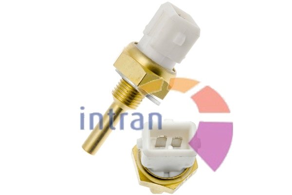 Intran Flotamex SD12300