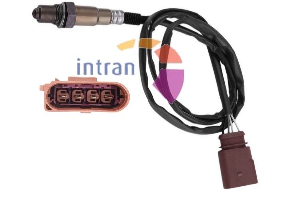 Intran Flotamex SD06213 Intran Flotamex SD06213