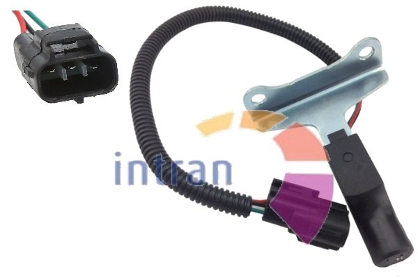 Intran Flotamex SD22138