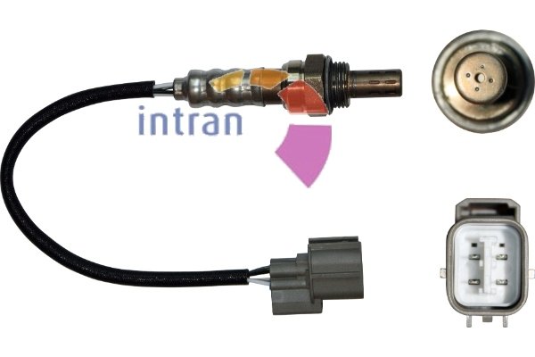 Intran Flotamex SD60439