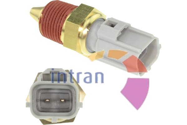 Intran Flotamex SD12099